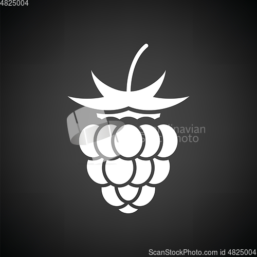 Image of Raspberry icon