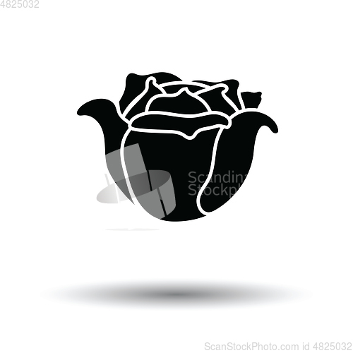 Image of Cabbage icon