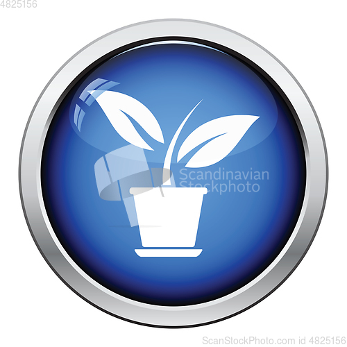 Image of Plant in flower pot icon