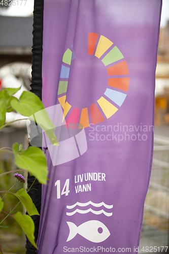 Image of UN Sustainability Goal 14