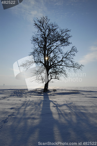 Image of Winter