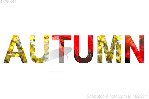 Image of Word AUTUMN with a bright leaves of maple tree pattern