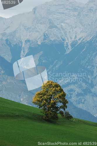 Image of The Alps