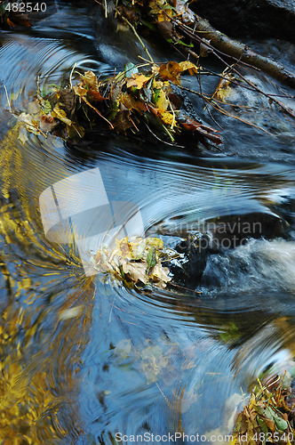 Image of Autumnal brook