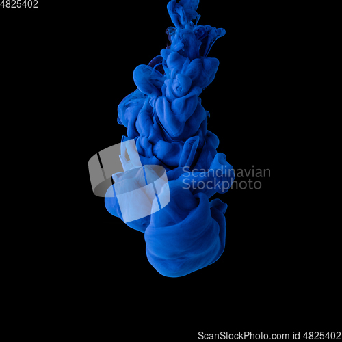 Image of Explosion of colored, fluid and neoned liquids on black studio background with copyspace