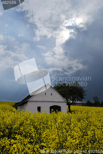 Image of House in field