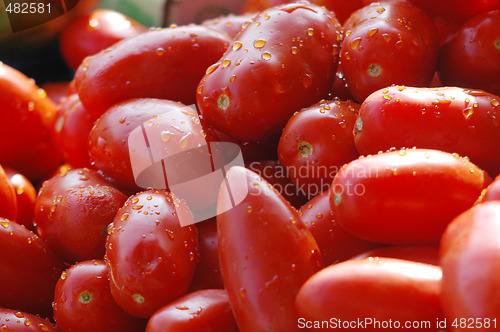 Image of Tomatos