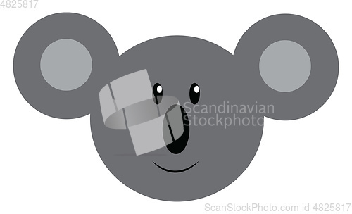 Image of Face of a baby koala vector or color illustration