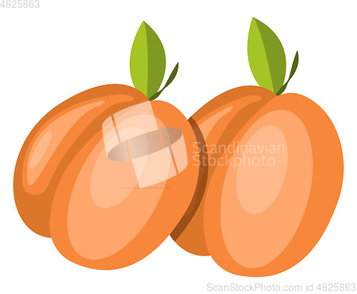 Image of Red Fruits vector color illustration.