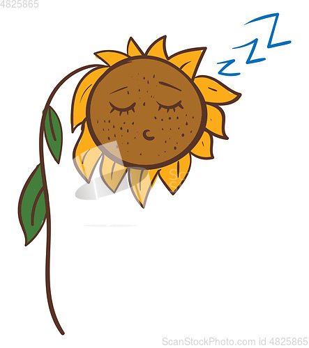 Image of Cartoon of a sleeping sunflower vector illustration on white bac