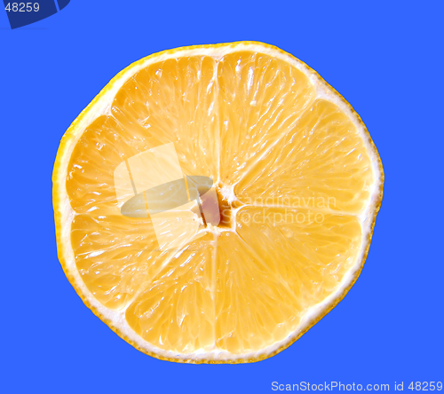 Image of Lemon