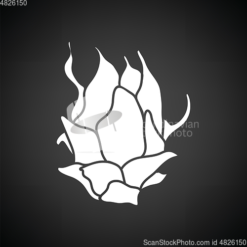 Image of Dragon fruit icon