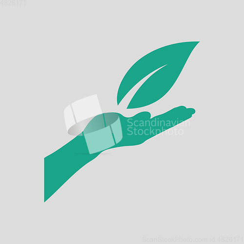 Image of Hand holding leaf icon