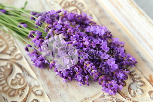 Image of Lavender.