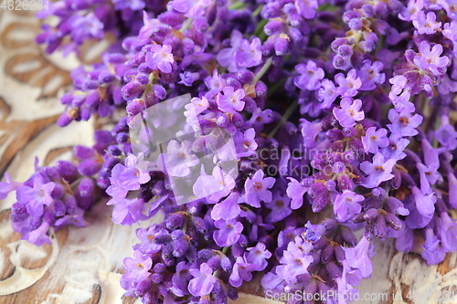 Image of Lavender.