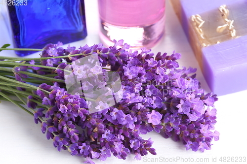 Image of Bouquet of lavender.