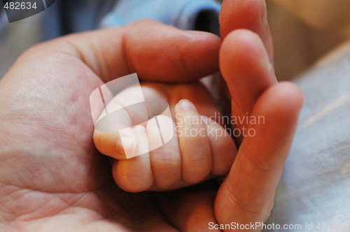 Image of Hands