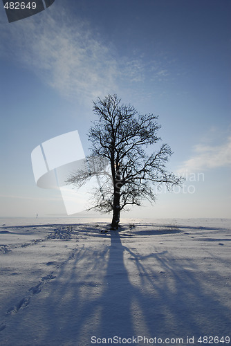 Image of Winter