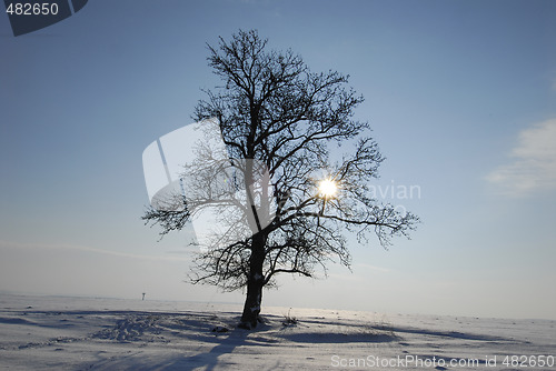 Image of Winter