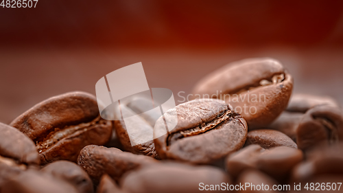 Image of Close up of seeds of coffee. Fragrant coffee beans are roasted s