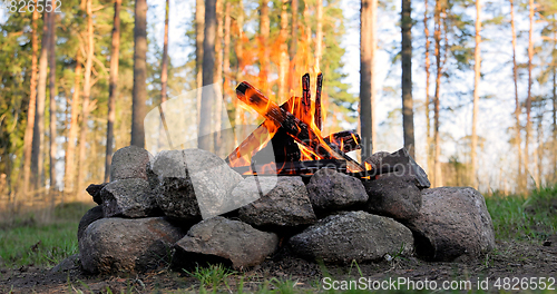Image of Burning Campfire in the forest