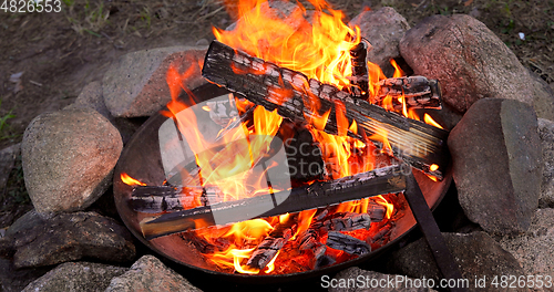 Image of Burning Campfire in the forest