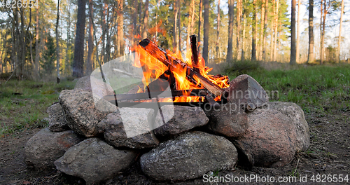 Image of Burning Campfire in the forest