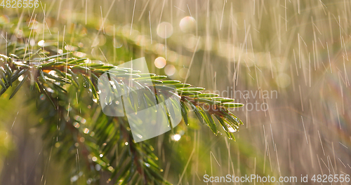 Image of Rain on a sunny day. Close-up of rain on the background of an ev