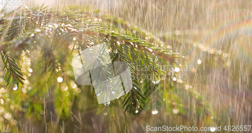 Image of Rain on a sunny day. Close-up of rain on the background of an ev