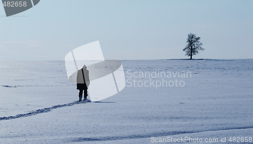 Image of Winter