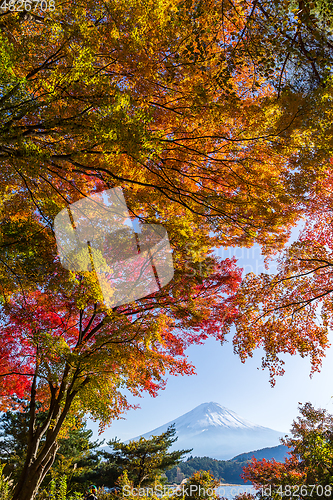 Image of Mount Fuji in Autumn season of Japan