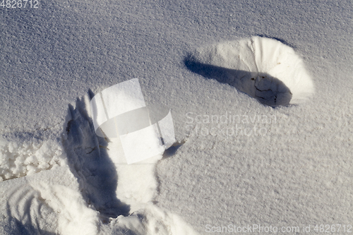 Image of Snow in winter