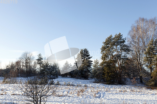 Image of After snowfall