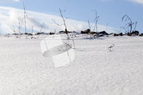 Image of Snow in winter