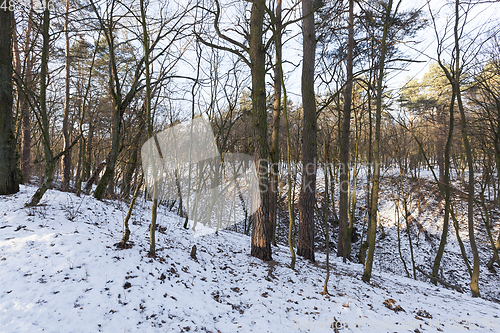 Image of Snow drifts in winter