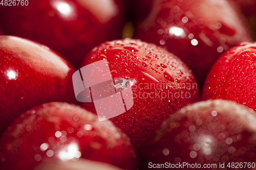 Image of Red ripe cherry