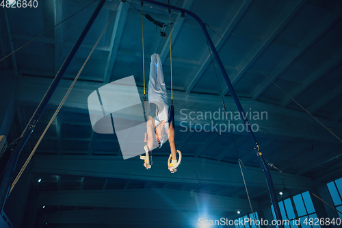 Image of Little male gymnast training in gym, flexible and active