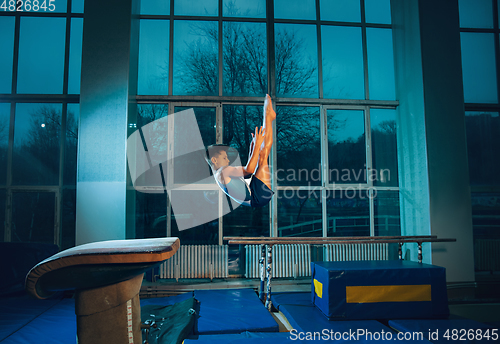 Image of Little male gymnast training in gym, flexible and active