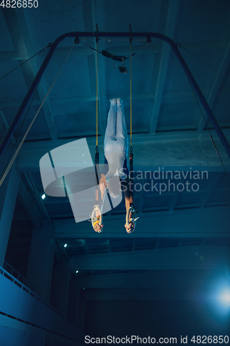 Image of Little male gymnast training in gym, flexible and active