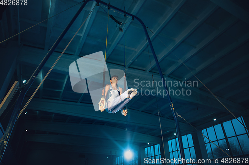 Image of Little male gymnast training in gym, flexible and active