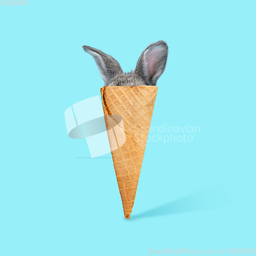 Image of Adorable Easter bunny isolated on blue studio background, flyer, greeting card