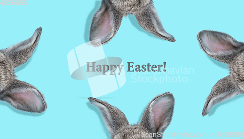 Image of Adorable Easter bunny isolated on blue studio background, flyer, greeting card