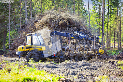 Image of Ponsse Elk Forest Forwarder and Logging Residues