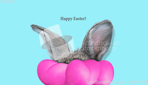 Image of Adorable Easter bunny isolated on blue studio background, flyer, greeting card