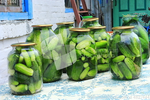 Image of Cucumbers in the jars prepared for preservation