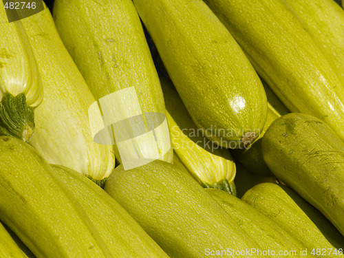 Image of zucchini