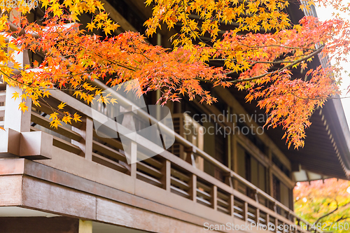 Image of Beautiful temple park in Japan