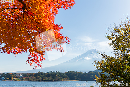 Image of Fuji in autumn