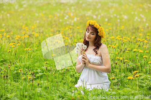 Image of beautiful girl with dandelion flowers in green field