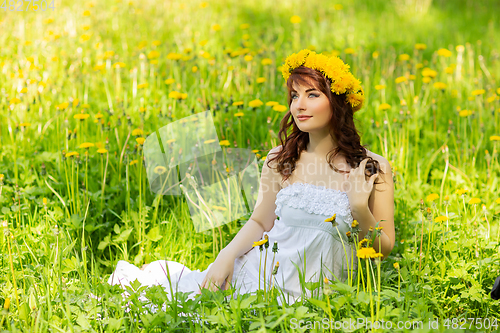Image of beautiful girl with dandelion flowers in green field